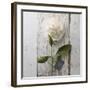 Sent with Love II-Camille Soulayrol-Framed Giclee Print