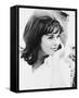 Senta Berger-null-Framed Stretched Canvas