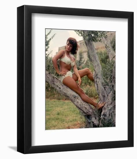 Senta Berger-null-Framed Photo