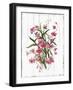 Sentimental Memories I-Asia Jensen-Framed Art Print