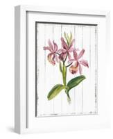 Sentimental Memories II-Asia Jensen-Framed Art Print