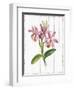 Sentimental Memories II-Asia Jensen-Framed Art Print