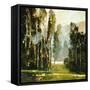 Sentine's-Ted Goerschner-Framed Stretched Canvas