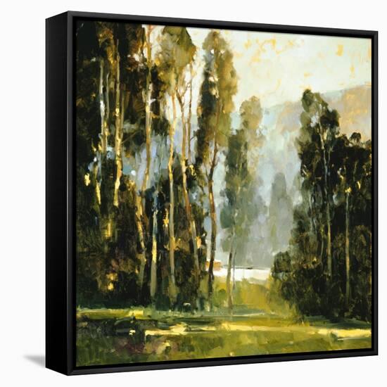 Sentine's-Ted Goerschner-Framed Stretched Canvas