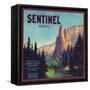 Sentinel Orange Label - Lindsay, CA-Lantern Press-Framed Stretched Canvas