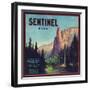 Sentinel Orange Label - Lindsay, CA-Lantern Press-Framed Art Print