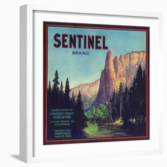 Sentinel Orange Label - Lindsay, CA-Lantern Press-Framed Art Print