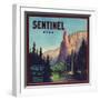 Sentinel Orange Label - Lindsay, CA-Lantern Press-Framed Art Print