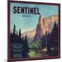 Sentinel Orange Label - Lindsay, CA-Lantern Press-Mounted Art Print