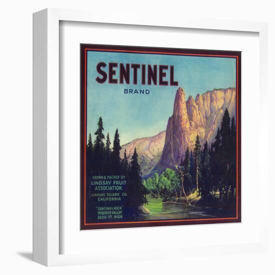 Sentinel Orange Label - Lindsay, CA-Lantern Press-Framed Art Print