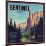 Sentinel Orange Label - Lindsay, CA-Lantern Press-Mounted Art Print