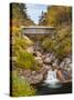 Sentinel Pine Bridge-Michael Blanchette-Stretched Canvas