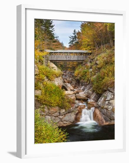 Sentinel Pine Bridge-Michael Blanchette-Framed Photographic Print