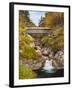 Sentinel Pine Bridge-Michael Blanchette-Framed Photographic Print