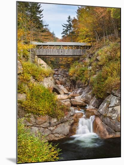 Sentinel Pine Bridge-Michael Blanchette-Mounted Photographic Print