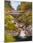 Sentinel Pine Bridge-Michael Blanchette-Mounted Photographic Print