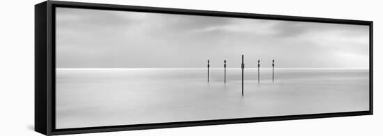 Sentinels-Doug Chinnery-Framed Stretched Canvas