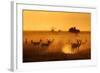 Sentinels-Mathilde Guillemot-Framed Photographic Print