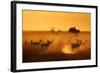 Sentinels-Mathilde Guillemot-Framed Photographic Print