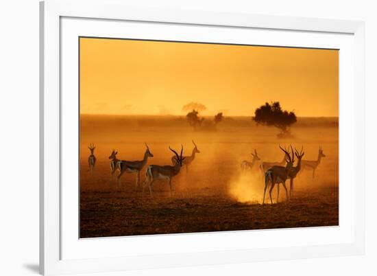 Sentinels-Mathilde Guillemot-Framed Photographic Print