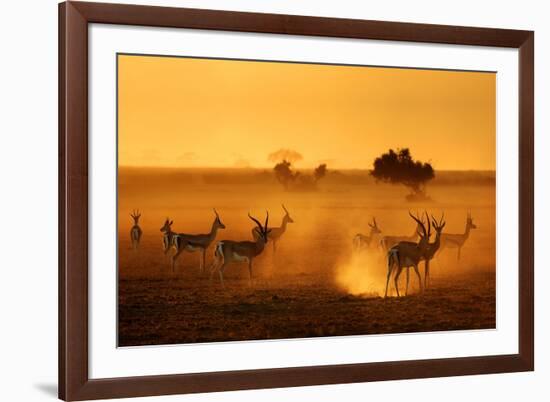 Sentinels-Mathilde Guillemot-Framed Photographic Print