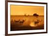 Sentinels-Mathilde Guillemot-Framed Photographic Print