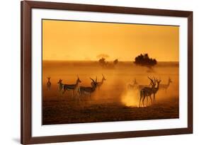 Sentinels-Mathilde Guillemot-Framed Photographic Print