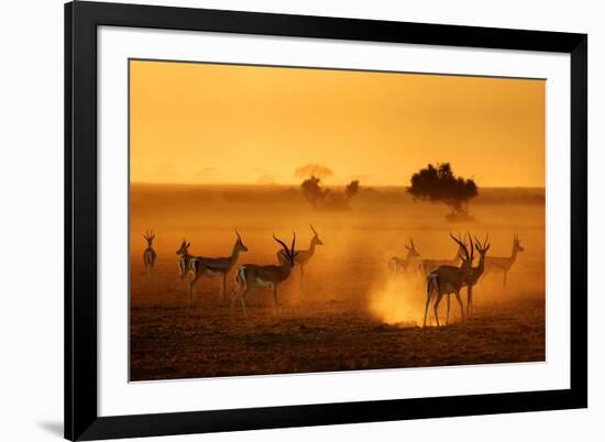 Sentinels-Mathilde Guillemot-Framed Photographic Print