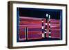 Sentinels-MacEwan-Framed Giclee Print