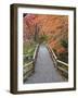 Sento Imperial Palace, Kyoto, Japan-Rob Tilley-Framed Photographic Print