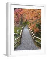 Sento Imperial Palace, Kyoto, Japan-Rob Tilley-Framed Photographic Print