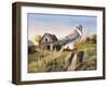 Sentry Duty-Trevor V. Swanson-Framed Giclee Print