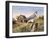 Sentry Duty-Trevor V. Swanson-Framed Giclee Print