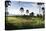 Sentul City Golf Estate-Ferry Tan-Stretched Canvas