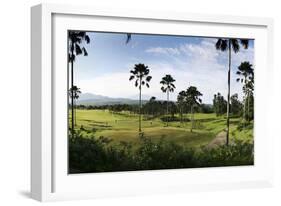 Sentul City Golf Estate-Ferry Tan-Framed Photographic Print