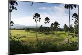 Sentul City Golf Estate-Ferry Tan-Mounted Photographic Print