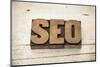 SEO Acronym (Search Engine Optimization)-PixelsAway-Mounted Photographic Print