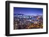 Seoul, South Korea Skyline with Namsan Mountain and Seoul Tower.-SeanPavonePhoto-Framed Photographic Print