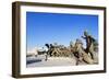 Seoul War Memorial, Seoul, South Korea, Asia-Christian-Framed Photographic Print