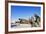 Seoul War Memorial, Seoul, South Korea, Asia-Christian-Framed Photographic Print