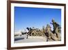 Seoul War Memorial, Seoul, South Korea, Asia-Christian-Framed Photographic Print