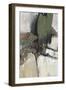 Separation III-Tim O'toole-Framed Art Print