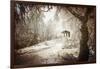 Sepia Atmosphere-Philippe Sainte-Laudy-Framed Photographic Print