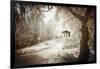 Sepia Atmosphere-Philippe Sainte-Laudy-Framed Photographic Print