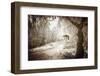 Sepia Atmosphere-Philippe Sainte-Laudy-Framed Photographic Print