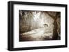 Sepia Atmosphere-Philippe Sainte-Laudy-Framed Photographic Print