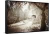 Sepia Atmosphere-Philippe Sainte-Laudy-Framed Stretched Canvas