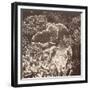 Sepia Barrier Reef Coral III-Kathy Mansfield-Framed Premium Photographic Print