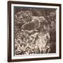 Sepia Barrier Reef Coral III-Kathy Mansfield-Framed Photographic Print