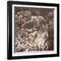 Sepia Barrier Reef Coral III-Kathy Mansfield-Framed Photographic Print